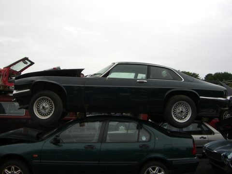 XJ-S V12