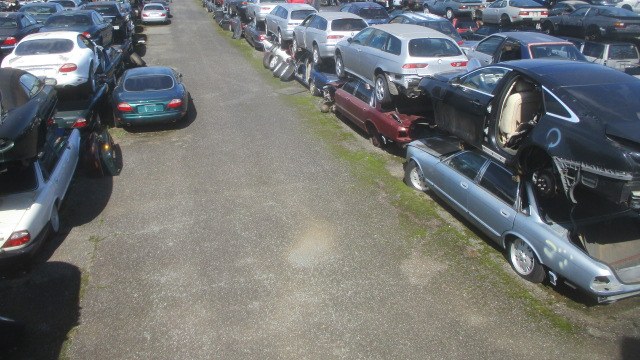 Our yard