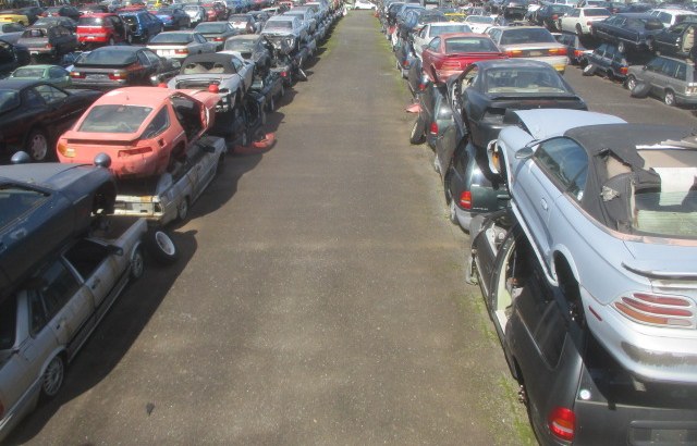 Our yard
